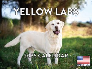 Yellow Labs 2025 Calendar