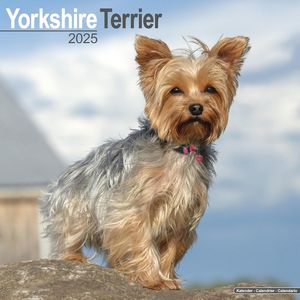 Yorkshire Terrier 2025 Calendar