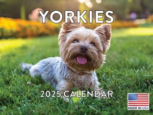 Yorkies 2025 Calendar