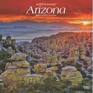 Arizona Wild and Scenic 2025 Wall Calendar