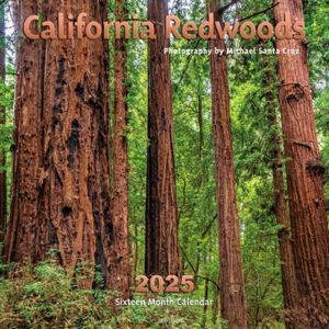 California Redwoods 2025 Wall Calendar