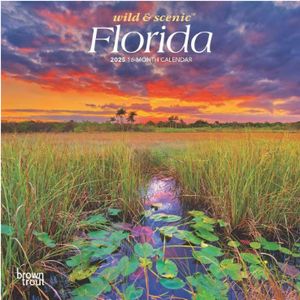 Florida 2025 Mini Wall Calendar