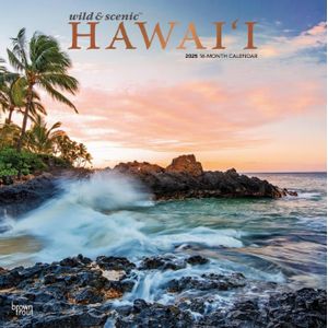 Hawaii 2025 Wall Calendar