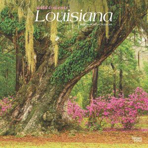 Louisiana 2025 Calendar