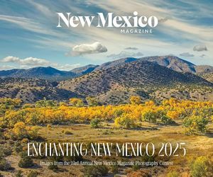 2025 Enchanting New Mexico Calendar
