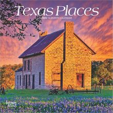 Texas Places 2025 Mini Wall Calendar