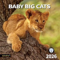 Big Cats Calendar