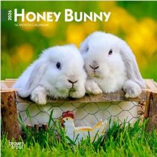 Honey Bunny 2026 Mini Wall Calendar