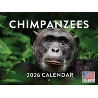 Chimpanzee Calendar