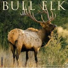Elk 2026 Calendar