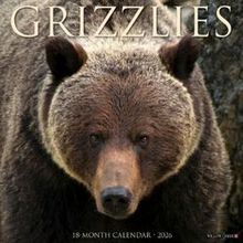 Bears 2026 Calendar