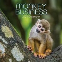Monkeys Calendar