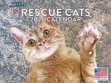 Rescue Cats
