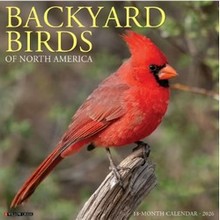 Birds 2026 Calendar