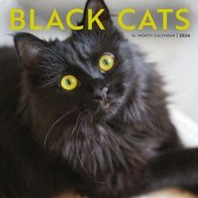 Assorted Cats Calendar