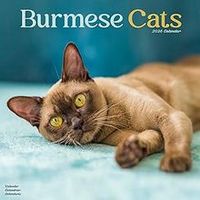 Burmese Cats Calendar