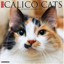 Calico Cats Calendar