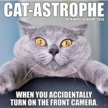 Funny Cats Calendar