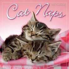 Cat Naps Calendar