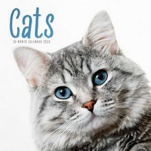 Assorted Cats Calendar