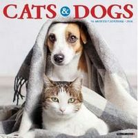 Cats & Dogs Calendar