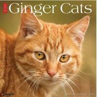 Ginger Cats Calendar