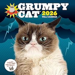 Grumpy Cats Calendar