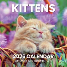 Kittens Calendar
