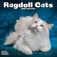Ragdoll Cats Calendar