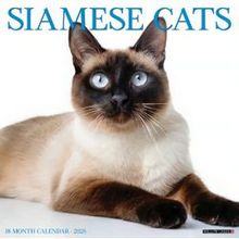 Cats 2026 Calendar