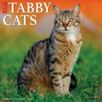 Tabby Cats
