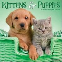 Kittens & Puppies