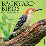 Backyard Birds 2024 Calendars