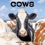 Cows 2024 Calendars