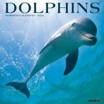 Dolphins 2024 Calendars