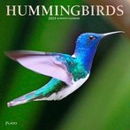 Hummingbirds 2024 Calendars