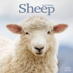 Sheep 2024 Calendars