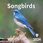 Songbirds 2024 Calendars
