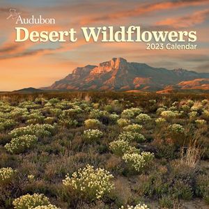 Desert Wildflowers 2023 Calendar