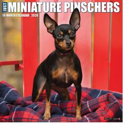 2026 Miniature Pinscher Calendars
