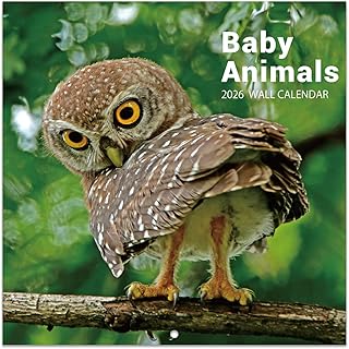 2026 Baby Animals Calendar