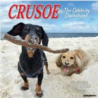 2026 Crusoe the Celebrity Dachshund Calendar